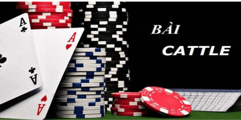 Cách chơi bài Catte Giới thiệu về Cách chơi bài Catte tại B52CLUB